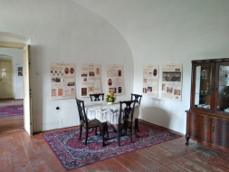 Zámek Pátek – expozice Dr. Emil Holub. Příběh cestovatele