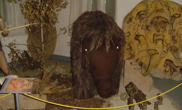 Muzeum Eduarda Štorcha 